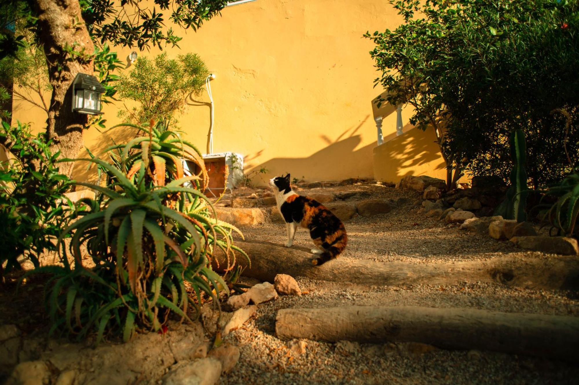 Bed and Breakfast Easy Going Imsouane Esterno foto